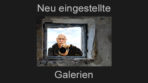 neu_eingestellte_Galerien.jpg