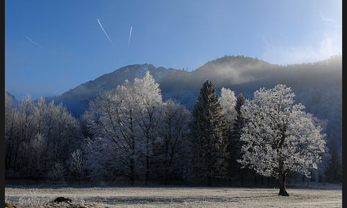 Deutschland_981_2008_Kochelsee_09