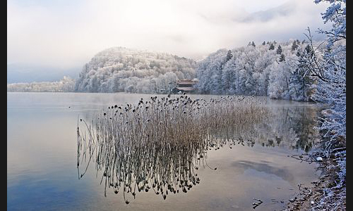Deutschland_983_2008_Kochelsee_07