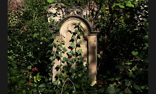 FT_Parkfriedhof_908_2011