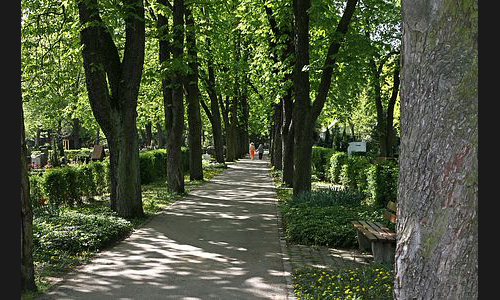 FT_Parkfriedhof_909_2011