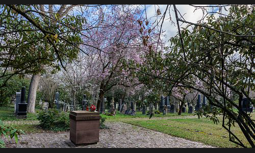 FT_Parkfriedhof_943_2021 FT_Parkfriedhof_943_2021