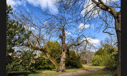 FT_Parkfriedhof_944_2021 FT_Parkfriedhof_944_2021
