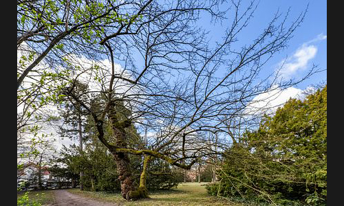 FT_Parkfriedhof_945_2021 FT_Parkfriedhof_945_2021