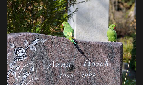 FT_Parkfriedhof_948_2021 FT_Parkfriedhof_948_2021