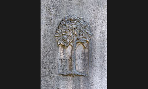 FT_Parkfriedhof_954_2021 FT_Parkfriedhof_954_2021