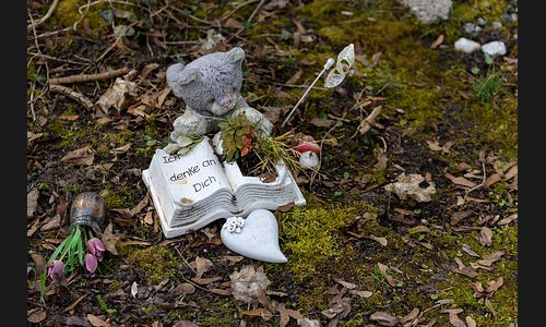 FT_Parkfriedhof_965_2021 FT_Parkfriedhof_965_2021