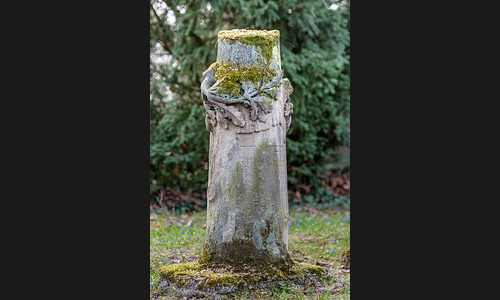 FT_Parkfriedhof_971_2021 FT_Parkfriedhof_971_2021