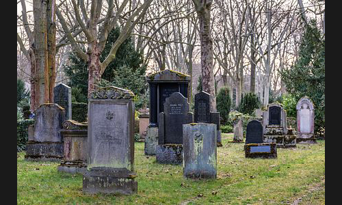 FT_Parkfriedhof_972_2021 FT_Parkfriedhof_972_2021
