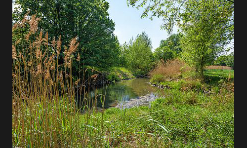 FT_Stadtbild_862__2019 FT_Stadtbild_862__2019