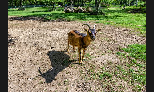 FT_Stadtbild_865__2019 FT_Stadtbild_865__2019