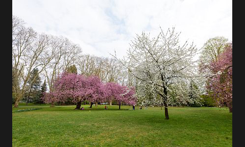 FT_Stadtbild_906__2019 FT_Stadtbild_906__2019