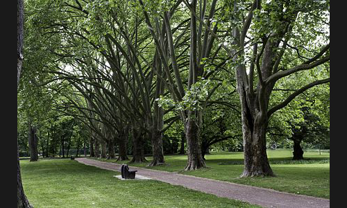 FT_Stadtbild_946__2012 FT_Stadtbild_946__2012