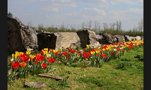 FT_Stadtbild_960__2012 FT_Stadtbild_960__2012