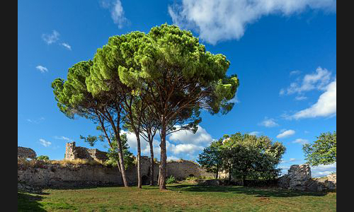 Frankreich_867_2019_Region_Montpellier_007