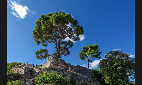 Frankreich_869_2019_Region_Montpellier_005