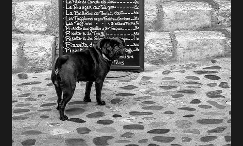 Frankreich_912_2017_Provence_Region_Nizza_006