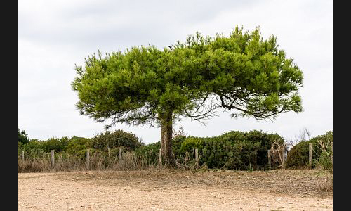 Frankreich_934_2016_Provence_Region_Marseille_023