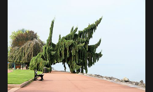 Frankreich_957_2013_Evian_Les_Bains_006