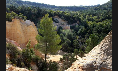 Frankreich_963_2010_Provence_Region_Avignon_008