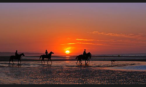 Frankreich_994_2008_Normandie_003