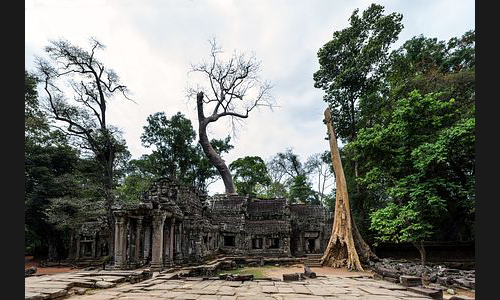 Kambodscha_032_Ta_Phrom_Angkor