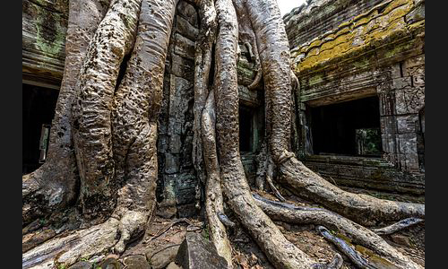 Kambodscha_033_Ta_Phrom_Angkor
