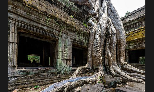 Kambodscha_034_Ta_Phrom_Angkor