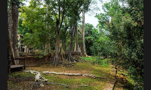 Kambodscha_035__Ta_Phrom_Angkor