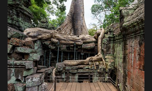 Kambodscha_036_Ta_Phrom_Angkor
