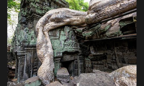 Kambodscha_037_Ta_Phrom_Angkor
