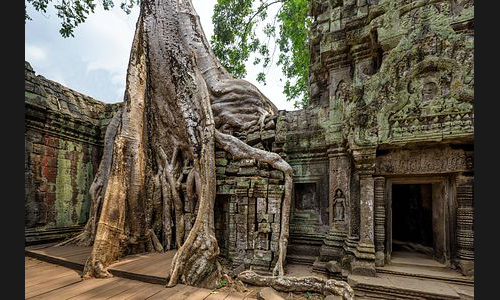 Kambodscha_041_Ta_Phrom_Angkor