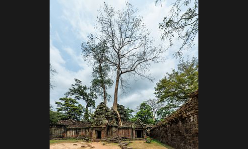 Kambodscha_043_Ta_Phrom_Angkor