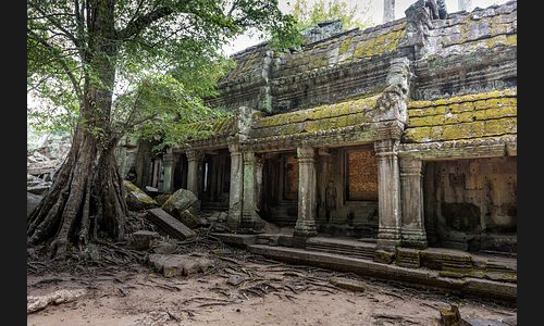 Kambodscha_044_Ta_Phrom_Angkor