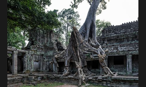 Kambodscha_092_Preah_Khan_Angkor1