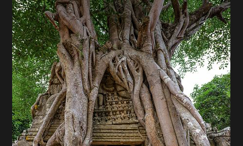 Kambodscha_103_Ta_Som_Angkor