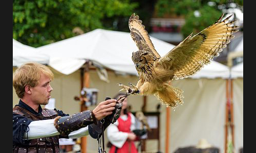 Planzen_Tiere_876_FT_Mittelaltermarkt_2019_11
