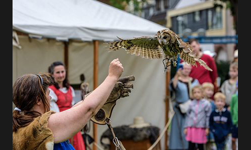 Planzen_Tiere_883_FT_Mittelaltermarkt_2019_04