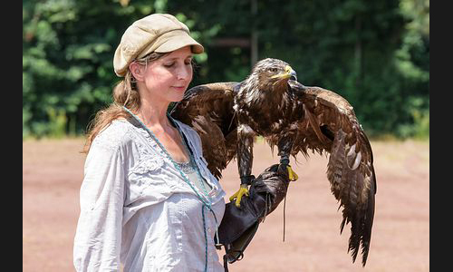 Planzen_Tiere_947_Greifvogel_02