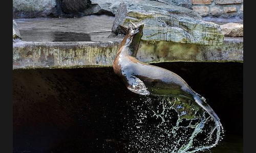 Planzen_Tiere_961_Landau_Zoo_09
