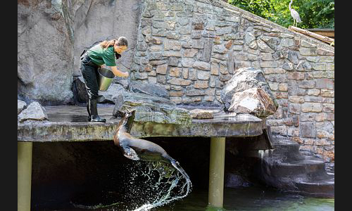 Planzen_Tiere_962_Landau_Zoo_08