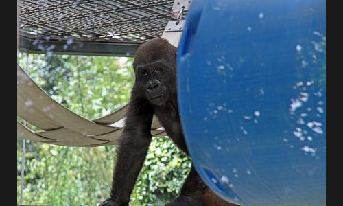 Planzen_Tiere_991_IMG_7054