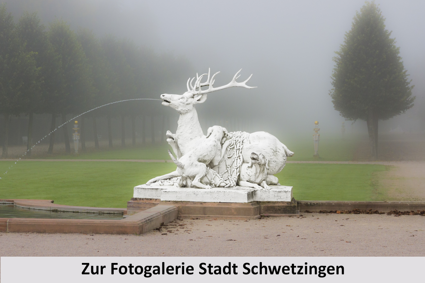 Link_zur_Fotogalerie_Stadt_Schwetzingen