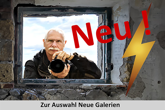 neu_eingestellte_Galerien.jpg
